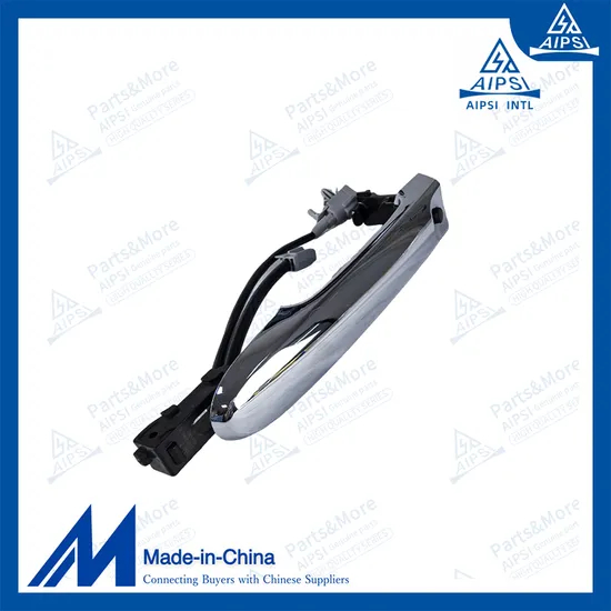 Chinese Factory 80640-3aw0a Car Door Handle for Nissan X-Trail T31