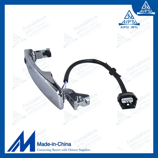 Chinese Factory 80640-1da2a Car Door Handle for Nissan X-Trail T31