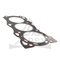 High Quality Cylinder Head Gasket for Nissan Altima (Teana) J31. J32 Vq23/Vq25