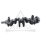 Auto Parts Crank Shaft 12201-1kt0a for Nissan Sunny N17 Crank Shaft 122011kt0a