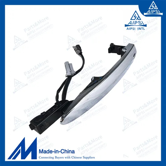 Chinese Factory 80640-3ra0a Car Door Handle for Nissan Sylphy B17