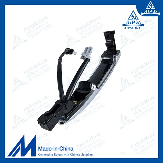 Chinese Factory 80640-Jn00A Car Door Handle for Nissan Altima 08