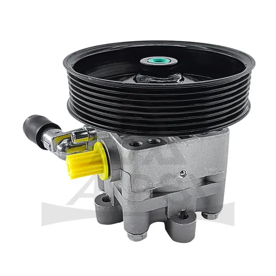 Hight Quality Auto Hydraulic Power Steering Pump 49110-Jn10b for Nissan Teana J32